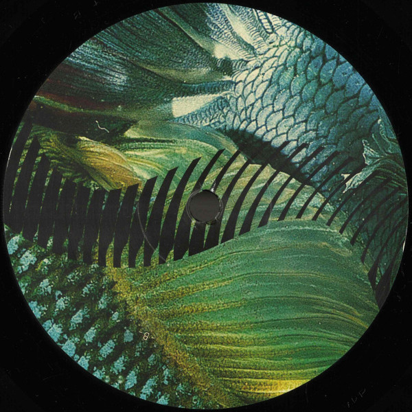 Gustavo Fridman - Dios Habla Hoy | Rhizome (RHZ004)