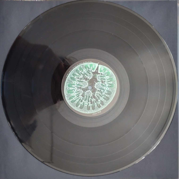 Disco Boule - Disco Boule | Vox Project (VOX48) - 3 Disco Boule - Disco Boule | Vox Project (VOX48) - 3