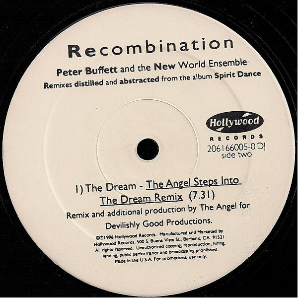 Peter Buffett And The New World Ensemble - Recombination | Hollywood Records (HR-66005-0 ST01)