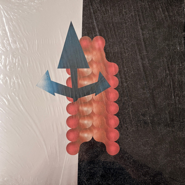 Wata Igarashi , Polygonia - Cross Passage | Reclaim Your City (RYCL.024) - main