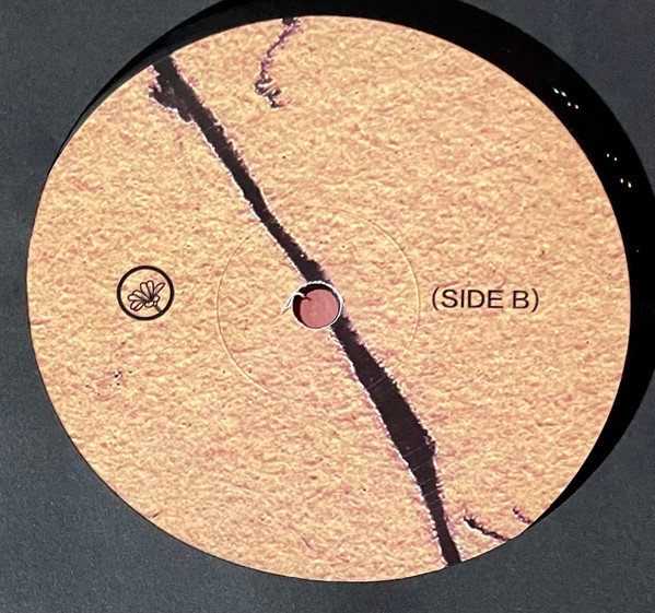 Aris Kindt - Now Claims My Timid Heart | Quiet Time Tapes (QTT31) - 5