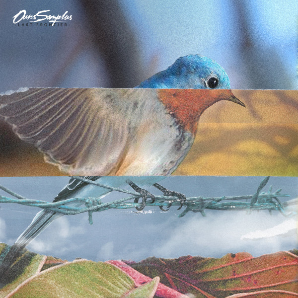 Ours Samplus - Last Frontier | Besides Records (BRLP 10)