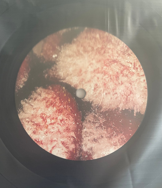 Thee Oh Sees - Floating Coffin [Vinyl] | Deathgod Records (DG-004) - 4
