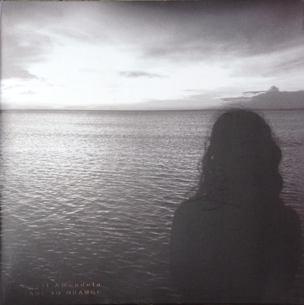 Scott Amendola - Fade To Orange | Sazi Records (sr003) - main