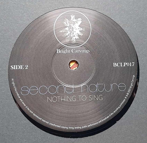 Second Nature - Nothing To Sing | Bright Carvings (BCLP017) - 4