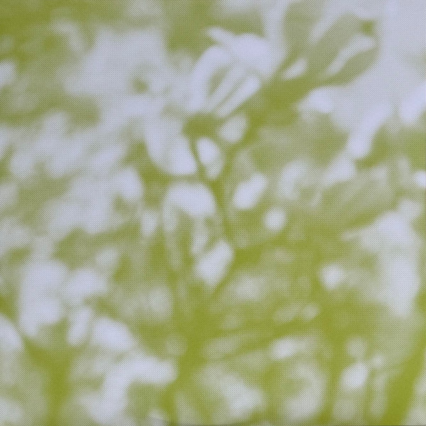 Tara Clerkin Trio - In Spring | World Of Echo (WOE004) - 2 Tara Clerkin Trio - In Spring | World Of Echo (WOE004) - 2