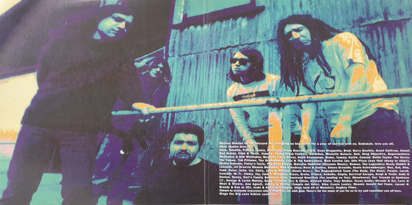 The Meanies - 10% Weird 2LP | Poison City Records (PCR097) - 3 The Meanies - 10% Weird 2LP | Poison City Records (PCR097) - 3