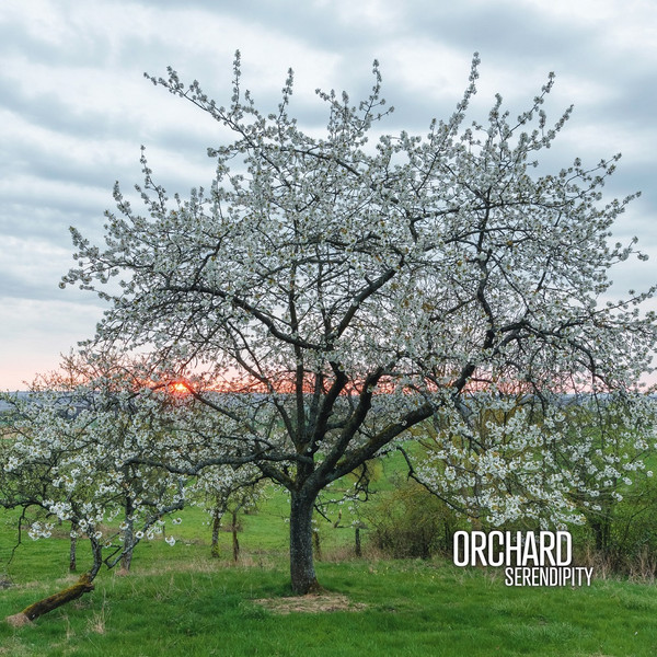 Orchard - Serendipity | Ici D'Ailleurs (none)