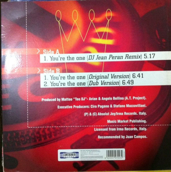 A.T. Project - You're The One | Container Records (NM7023MX) - 2