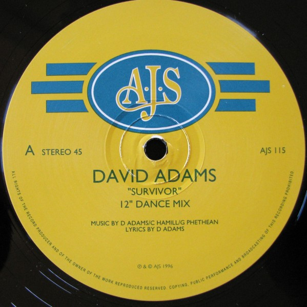 David Adams - Survivor | A.J.S (AJS 115)