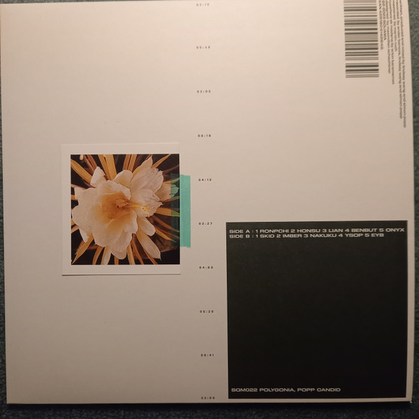 Polygonia , Popp - Candid | Squama (SQM022) - main