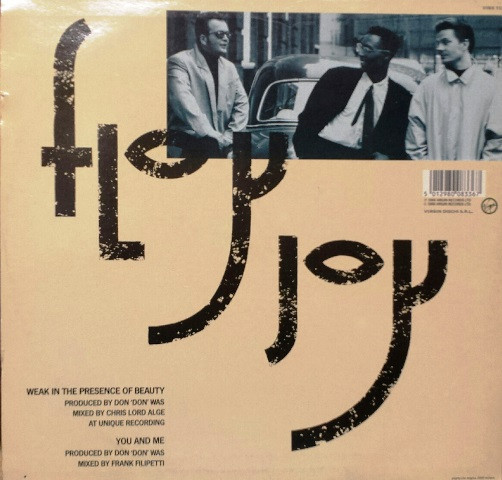 Floy Joy - Weak In The Presence Of Beauty | Virgin (VINX 112) - main