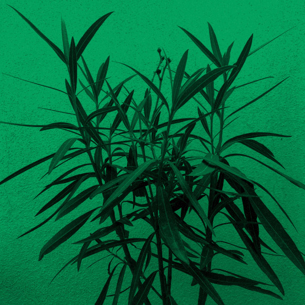 Winter In June & Vâyu - Dance Of The Kachinas | Kizen Records (KZN003) - main Winter In June & Vâyu - Dance Of The Kachinas | Kizen Records (KZN003) - main