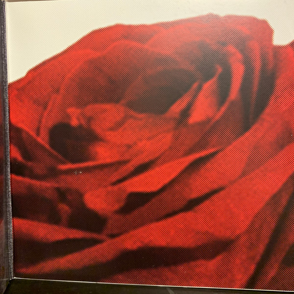 LANY