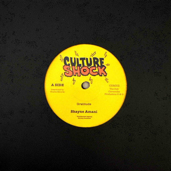 Shayne Amani - Gratitude | Culture Shock (CSR002)