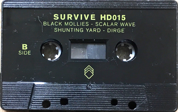 Survive - HD015 | Holodeck (HD015) - 4