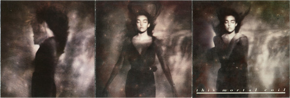 This Mortal Coil - It'll End In Tears | Rough Trade Germany (RTD 120.0027.2) - 3