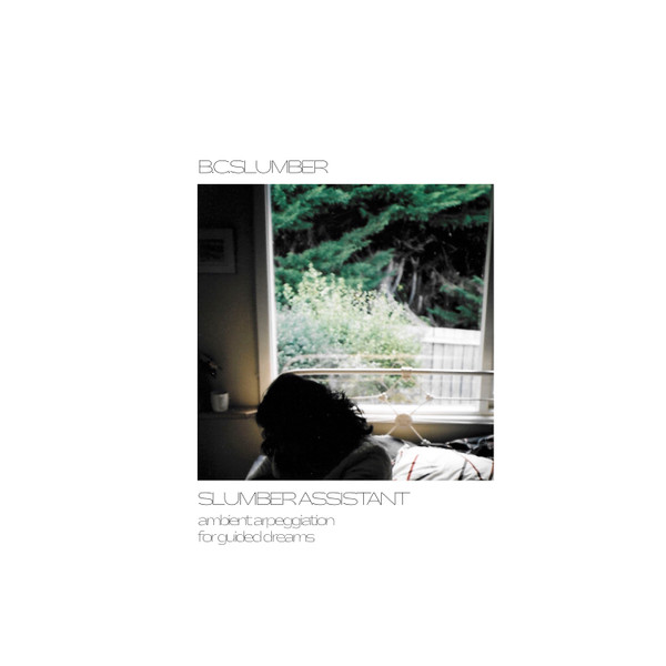 B. C. Slumber - Slumber Assistant | Southern Exposure Records (SOEX002) - main B. C. Slumber - Slumber Assistant | Southern Exposure Records (SOEX002) - main