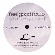Feel Good Factor - What's On Your Mind | Planet Love Records (PLOVE009)