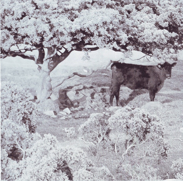 Here & Now - Give And Take | Tin Toy (TTCD 015) - 3