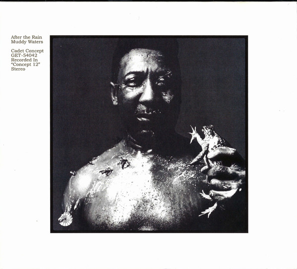 Muddy Waters - After The Rain | Get On Down (GET-54042)