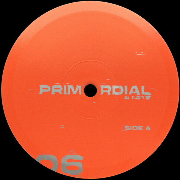 Primordial State - Response EP | Primordial State (PS06)