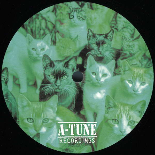 Matteo Gatti - Switch It | A-Tune Recordings (AT002)