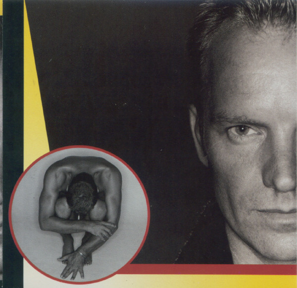 Sting - Fields Of Gold: The Best Of Sting 1984 - 1994 [CD] | A&M Records (31454 0269 2) - 5