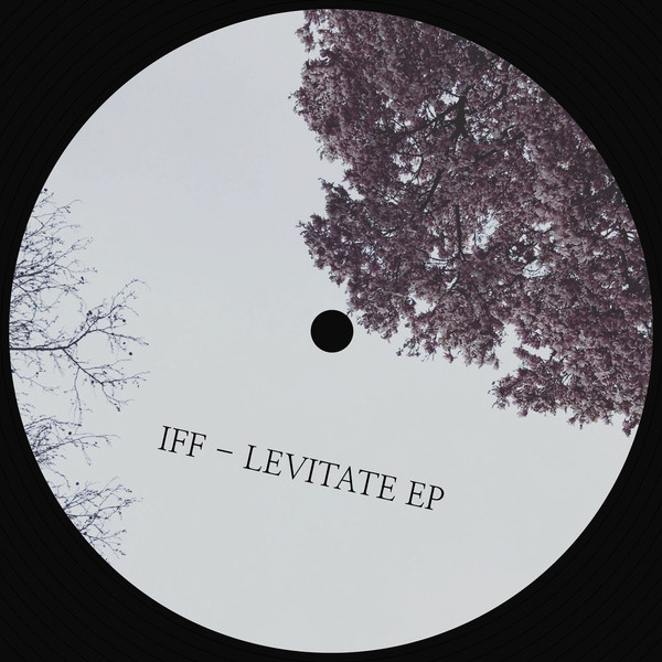Intergalactic Faerie Funk - Levitate (USED) | releisure (RLSR001) - 2 Intergalactic Faerie Funk - Levitate (USED) | releisure (RLSR001) - 2