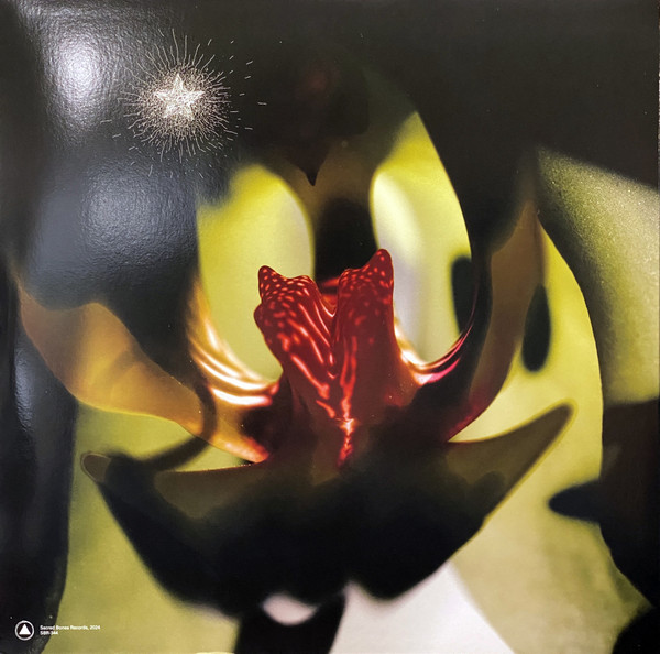 Chrysta Bell & David Lynch - Cellophane Memories | Sacred Bones Records (SBR-344) - 2 Chrysta Bell & David Lynch - Cellophane Memories | Sacred Bones Records (SBR-344) - 2