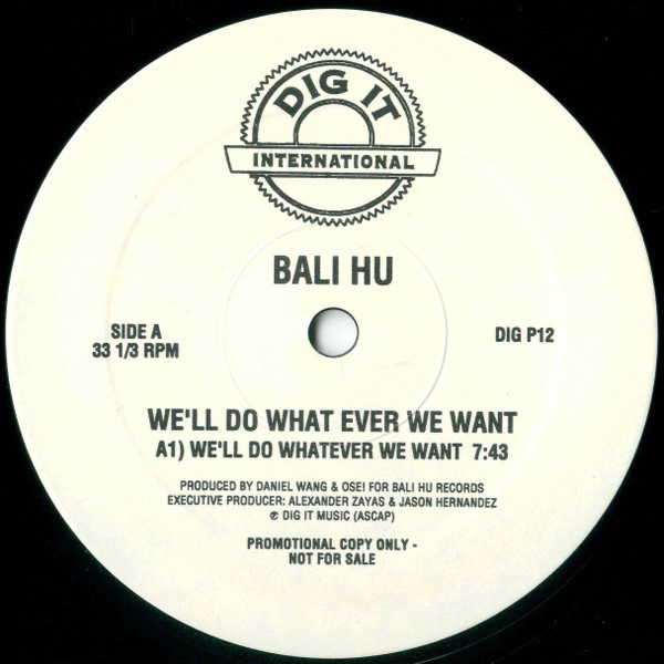 Bali Hu / Platinum - We'll Do What Ever We Want / Previews Club Track | Dig It International (DIG P12) - main