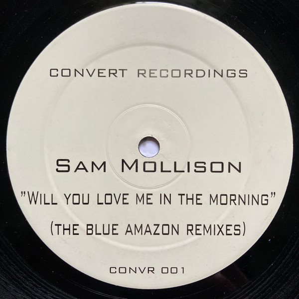 Sam Mollison - Will You Love Me In The Morning | Convert (CONVR 001) - main