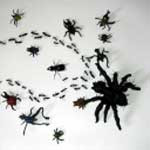 Room 204 / G.I. Joe - Split | Interstellar Records (INT010) - main