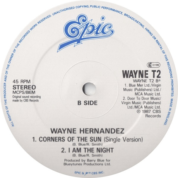 Wayne Hernandez - Corners Of The Sun | Epic (WAYNE T2) - 3 Wayne Hernandez - Corners Of The Sun | Epic (WAYNE T2) - 3