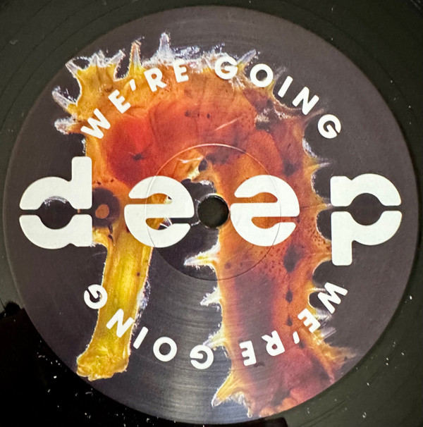 Various - Volume 10 | We're Going Deep (WGD 010) - 2