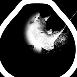 Horn - Schall + Rauch | Pomelo (POM 02) - 3