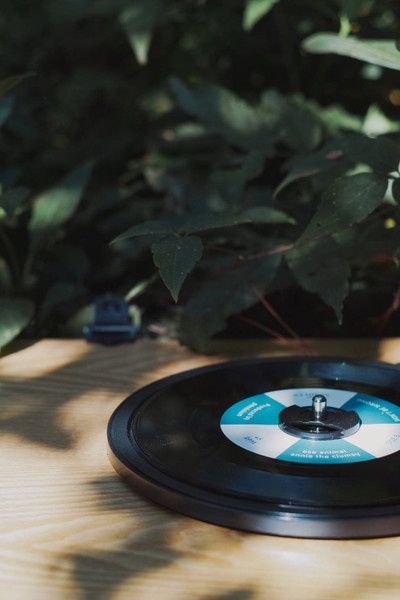 Ese Animal - CHANGIN' / WON'T BE WRONG 【7"】(2022) | SANDWICH Co. (EAEP2021) - 2