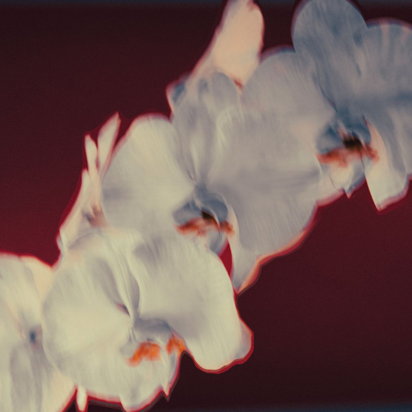 Kat Rose , Mikekon , Osunlade , CoFlo , Ritmiq - I See You | WIP Music (WIP//009) - main