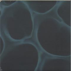 BLNDR - Radiolaria | Hypnus Records (HYPNUS045) - main