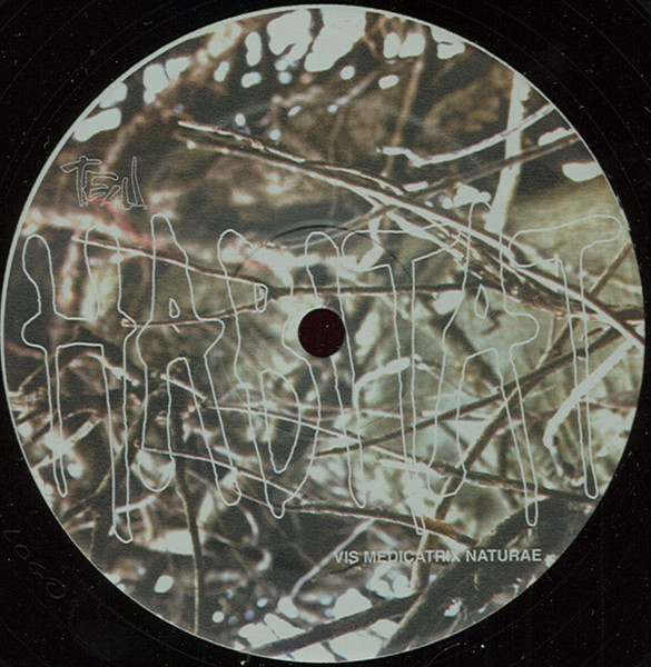 T.E.W. - Vis Medicatrix Naturae | Habitat (HBT 003) - 2