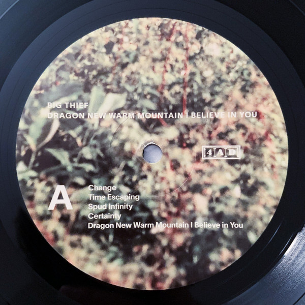 Big Thief - Dragon New Warm Mountain I Believe In You | 4AD (4AD0408LP) - 4 Big Thief - Dragon New Warm Mountain I Believe In You | 4AD (4AD0408LP) - 4