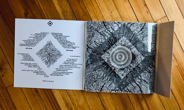 Wojtek - Petricore | Violence in the veins (VIO2023098LP) - 4
