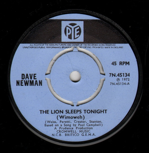 Dave Newman - The Lion Sleeps Tonight (Wimoweh) | Pye Records (7N.45134) - main