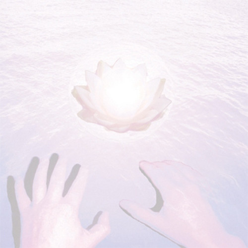 Dolphins Into The Future - The Music Of Belief | Release The Bats Records (RTB#49) - main