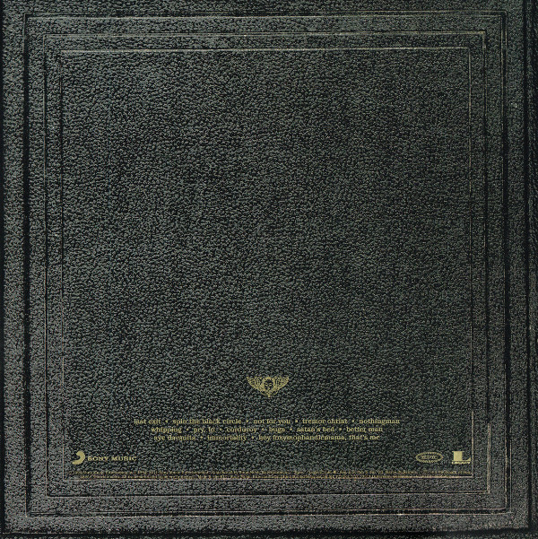 Pearl Jam - Vitalogy (2LP- 2015 European Release) [Vinyl] | Epic (88697843111) - 3