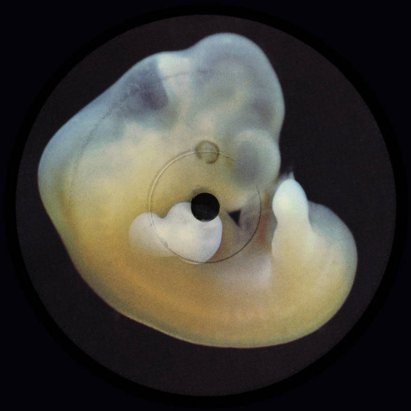 Henrik Bergqvist - Earth Creatures | Aniara Recordings (Aniara35) - 2 Henrik Bergqvist - Earth Creatures | Aniara Recordings (Aniara35) - 2