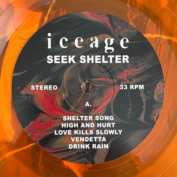 Iceage - Seek Shelter | Mexican Summer (MEX290) - 3