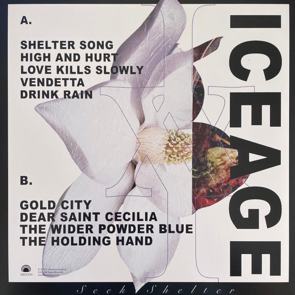 Iceage - Seek Shelter | Mexican Summer (MEX290) - 2