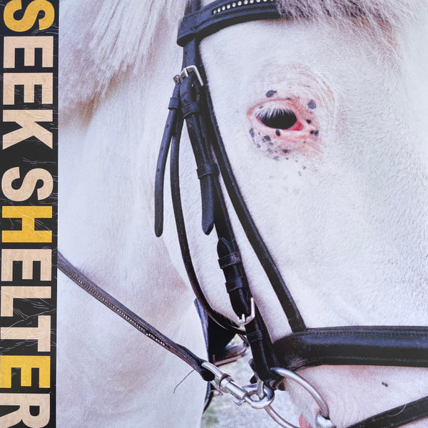 Iceage - Seek Shelter | Mexican Summer (MEX290) - main