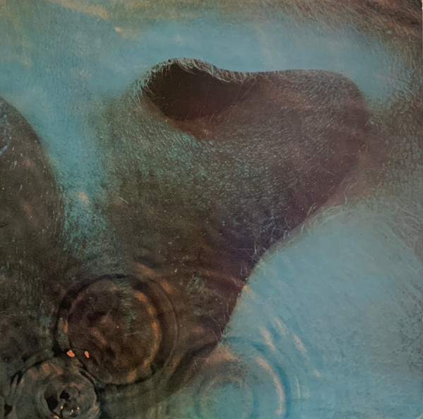 Pink Floyd - Meddle | Harvest (SHVL 795) - main